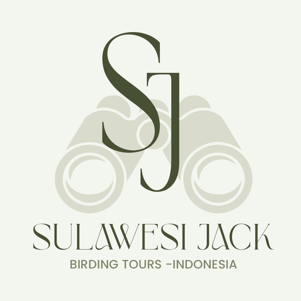 Sulawesi Jack Birding Sulawesi Jack Birding